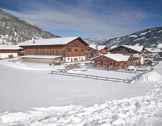 Skifahren und Langlaufen im Ransburggut in Flachau