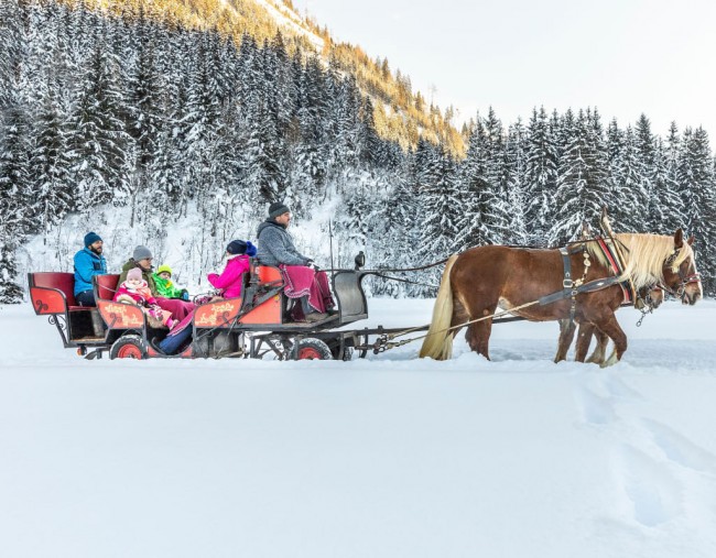 Pferdeschlittenfahrten durchs verschneite Flachautal &copy; Flachau Tourismus_Christian Fischbacher