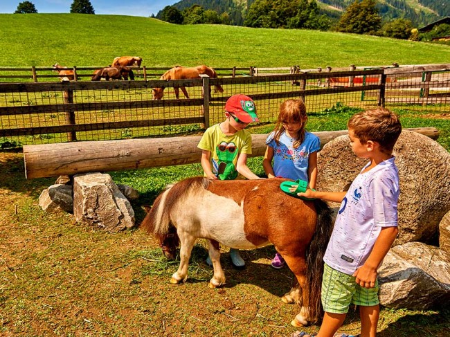 Pony reiten und Pony striegeln