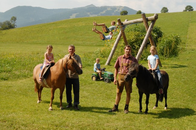 Sommerferien mit Tieren in Reitdorf-Flachau, Salzburger Land